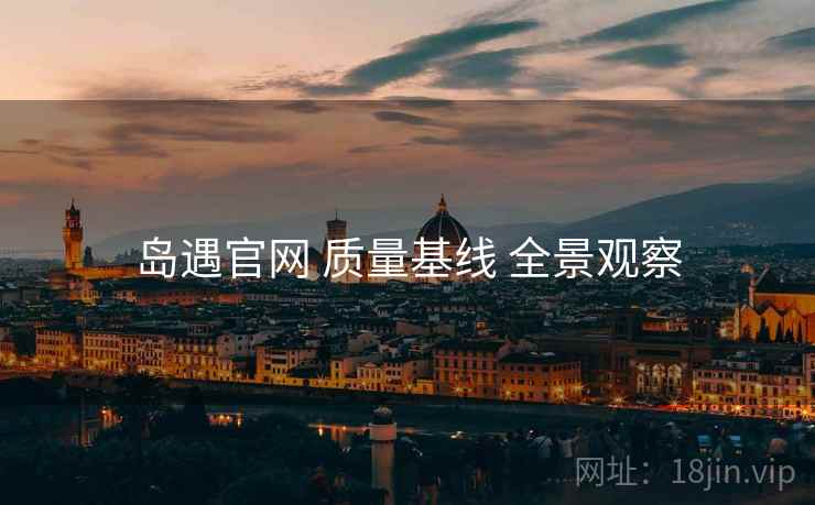 岛遇官网 质量基线 全景观察