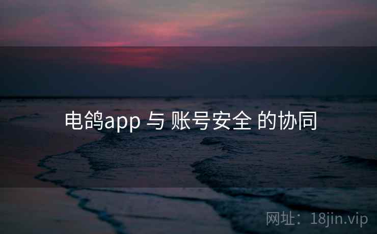 电鸽app 与 账号安全 的协同
